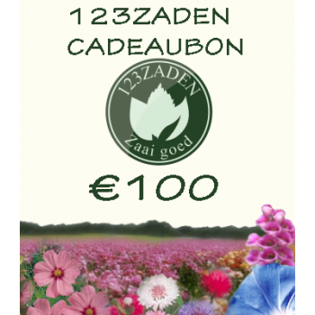 100 euro cadeaubon