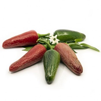 Jalapeno Jumbo