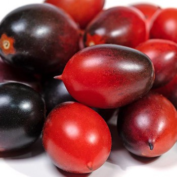 Black Plum