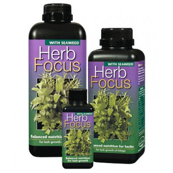 Herb focus - 300 ML