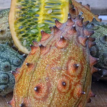 Kiwano (Hoornmeloen)