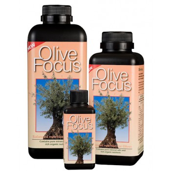 Olive Focus - 1 liter
