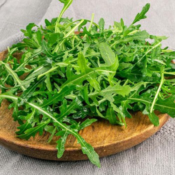 Gewone Rucola