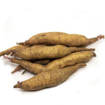 Zoete aardappel Tainung 65