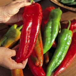 Puntpaprika Sweet Banana