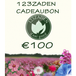 100 euro cadeaubon