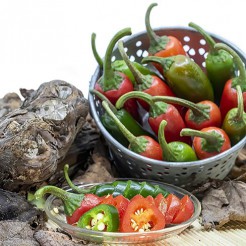 Jalapeno Early