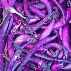 Aubergine Slim Jim