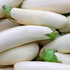 Aubergine Bianca