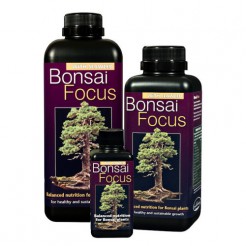 Bonsai Focus - 300 ml