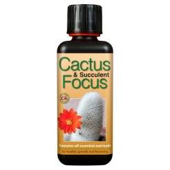 Cactus & Succulent Focus