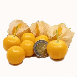 Grote Ananaskers