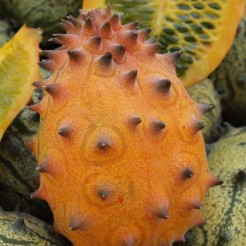 Kiwano (Hoornmeloen)