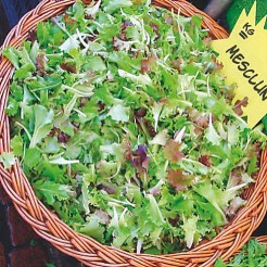 Mesclun mix