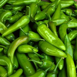 Numex Big Jim