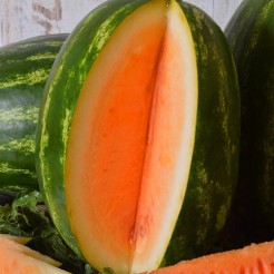 Watermeloen Orangeglo