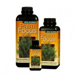 Palm focus 1 liter