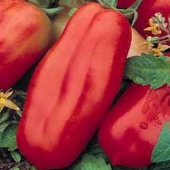 San Marzano 