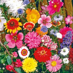 Snijbloemenmix