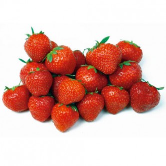 Aardbei Grandian F1 zaden