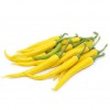 Cayenne Golden