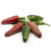 Jalapeno Jumbo