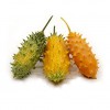 Wilde Kiwano