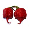 Carolina Reaper peper