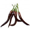 Cayenne Choco