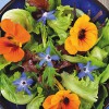 Eetbare bloemenmix