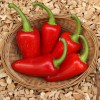 Jalapeno Jumbo