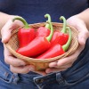 Jalapeno Jumbo