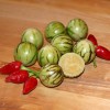 Mini pepino (Tzimbalo)