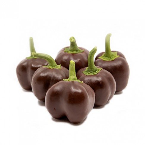 Mini bell on sale